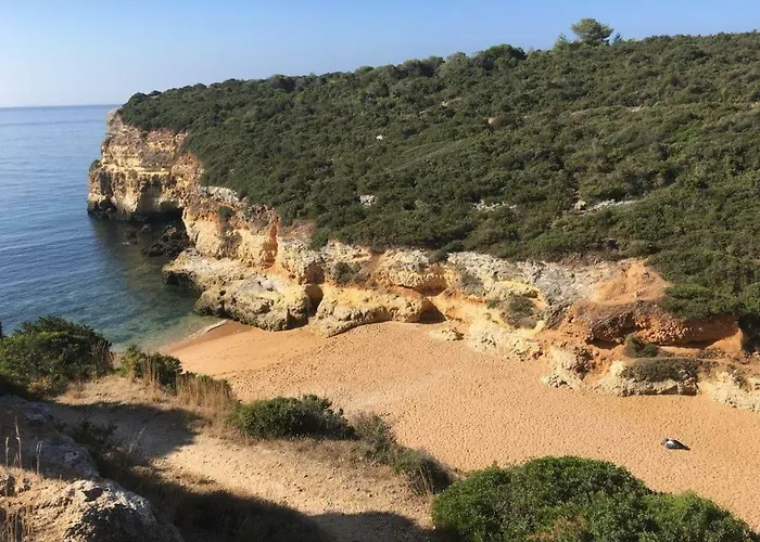 فيلة Casa Formiga