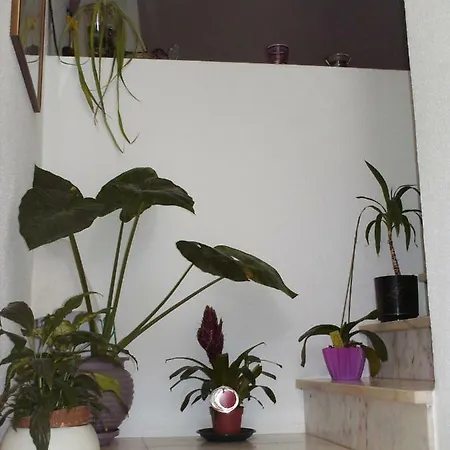 Casa Formiga