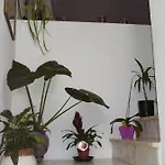Casa Formiga